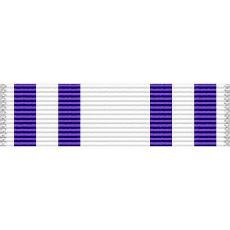 Maine National Guard Ice Guard 98 Ribbon